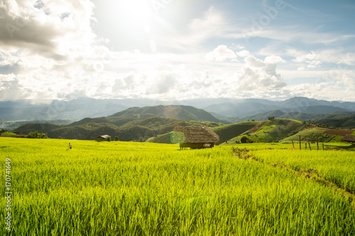 Wonderful rice terraces in Thailand