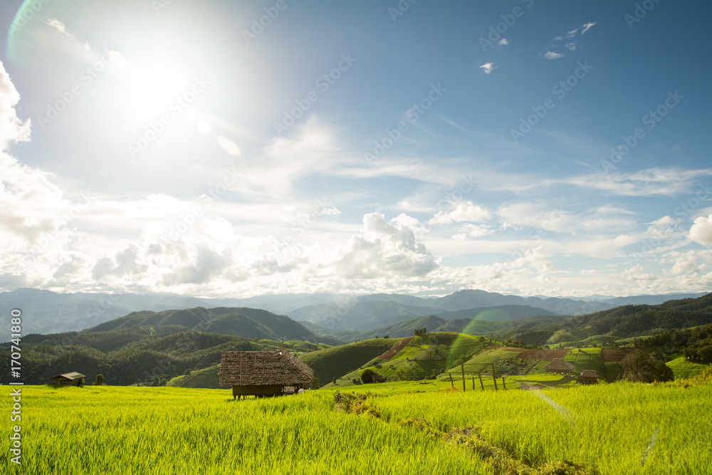 Wonderful rice terraces in Thailand