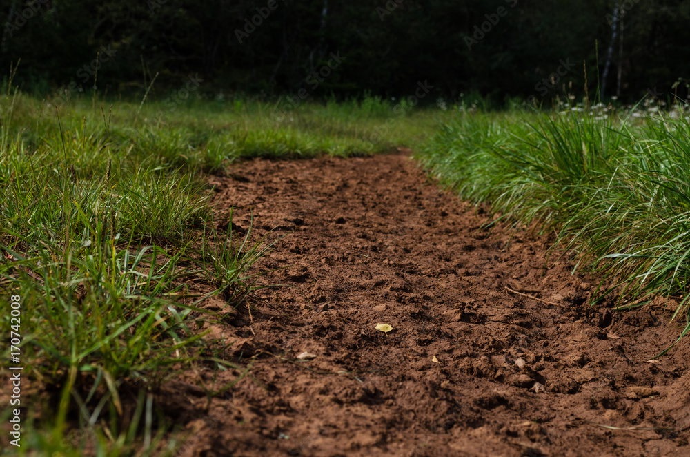 Soil Path Soil Path
