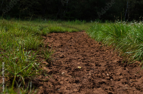 Soil Path