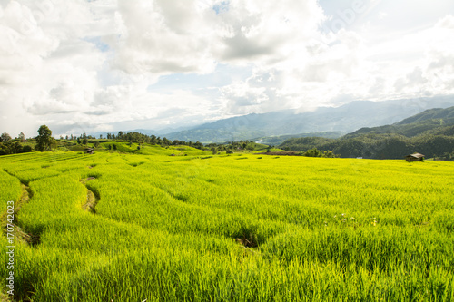 Wonderful rice terraces in Thailand