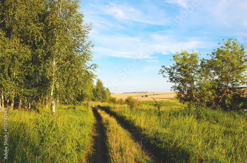 Sunny summer landscape with ground countryside road at sunset.Nature of Tula region,Russia.