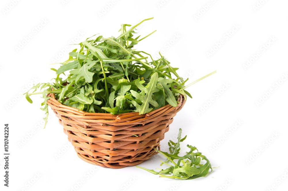 Rucola plant in a wicker bowl isolated Rucola plant in a wicker bowl isolated