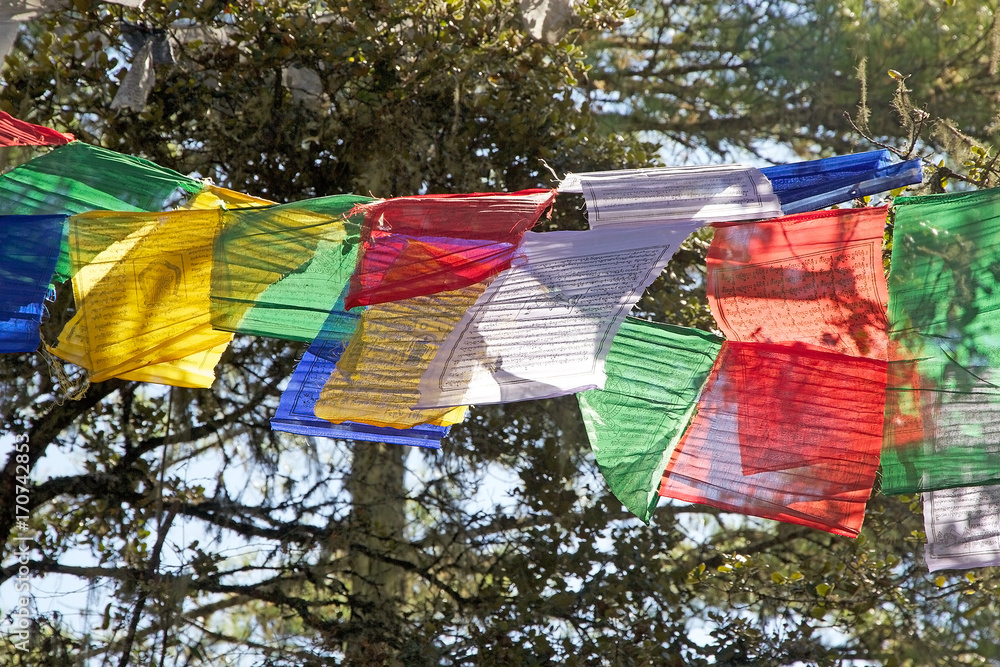 Prayer flags, Paro, Bhutan