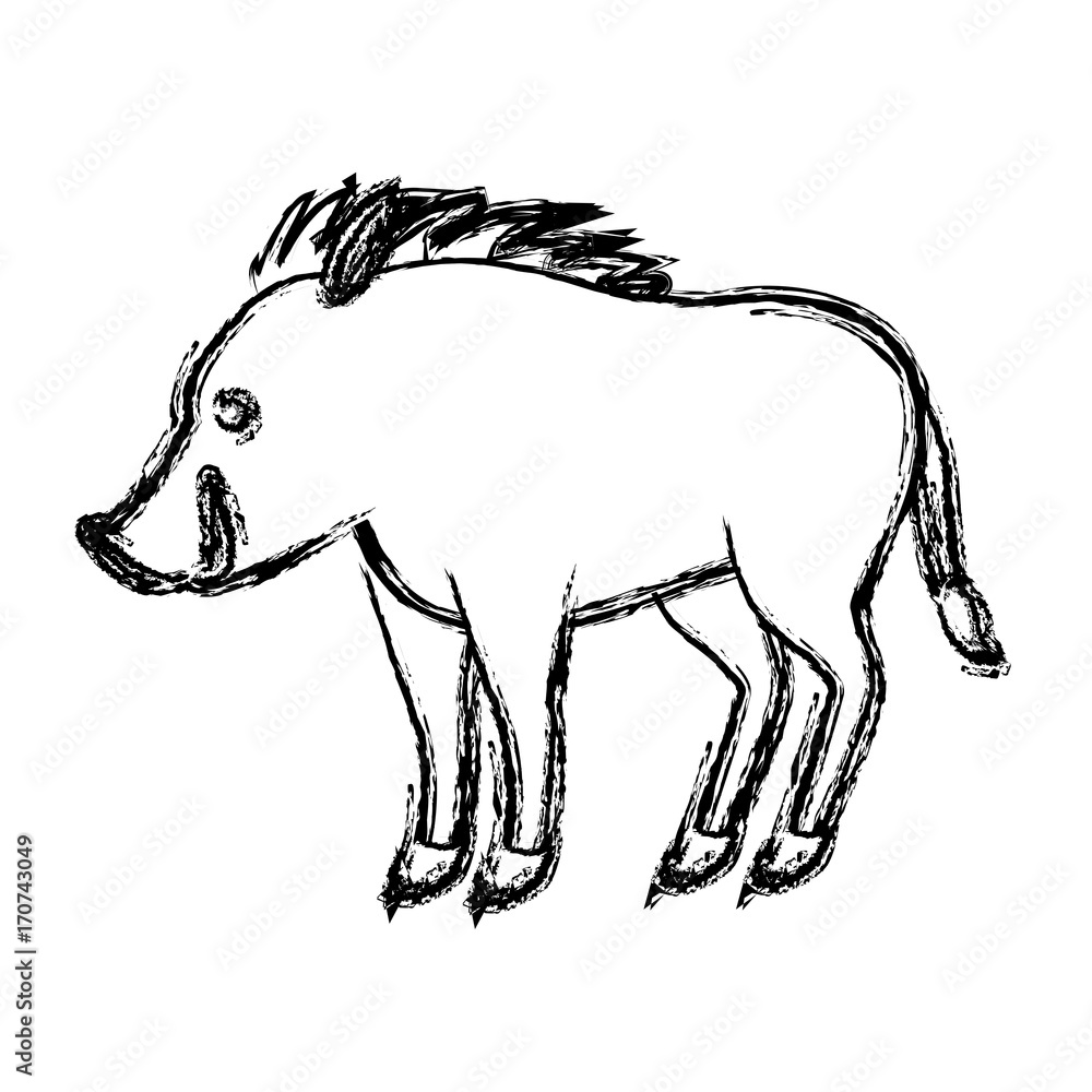 Jabali animal cartoon icon vector illustration graphic design Jabali animal cartoon icon vector illustration graphic design