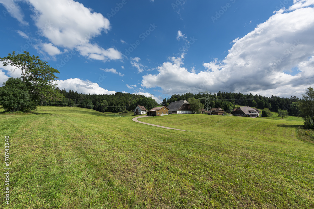 Bavarian style farm in the Black Forest of Germany