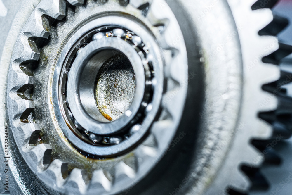 Steel gears and rolling bearing. Steel gears and rolling bearing.