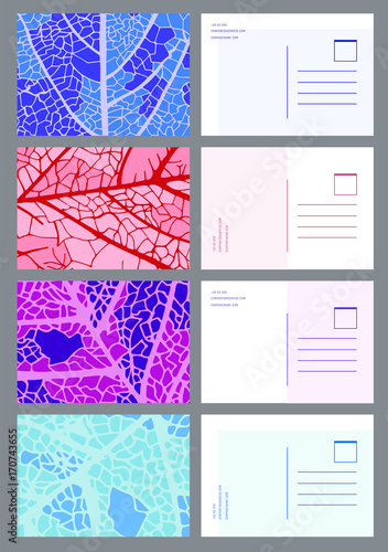 Vector icon set of various leaves frames