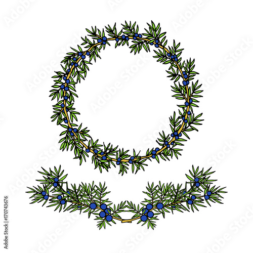 Hand drawn juniper wreath