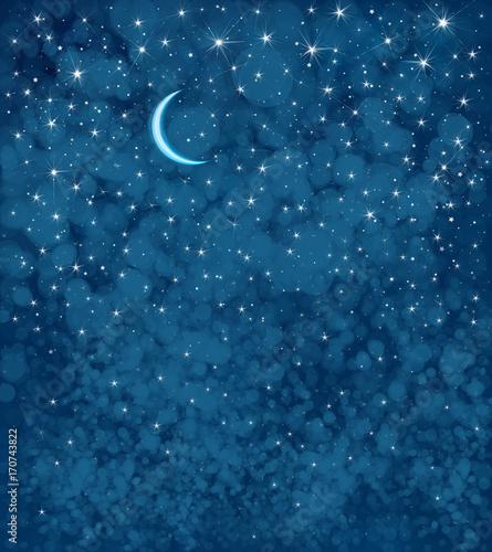 Vector starry  night sky  background.