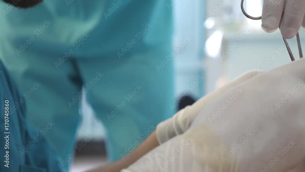 Wound suturing by surgeon. Hands of doctor in gloves sewing wound. Close up Wound suturing by surgeon. Hands of doctor in gloves sewing wound. Close up