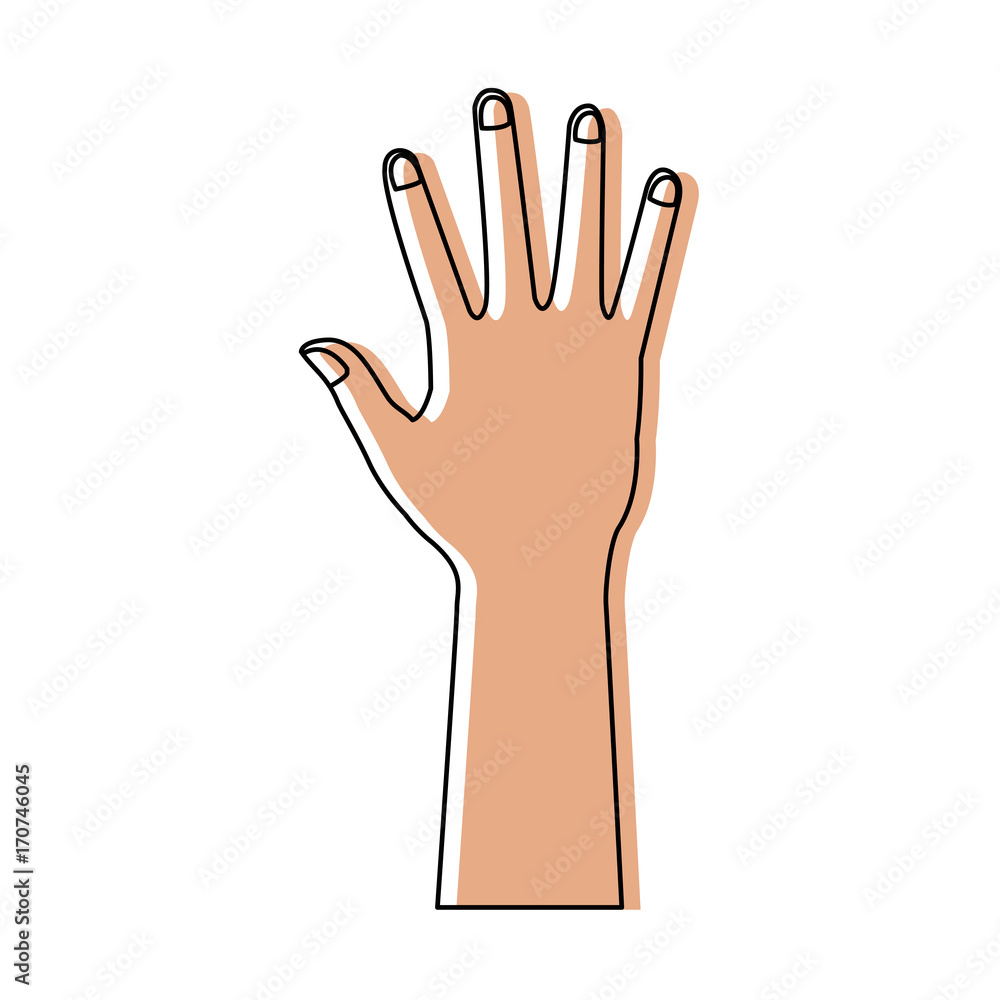 Obraz premium human hand showing five finger icon vector illustration