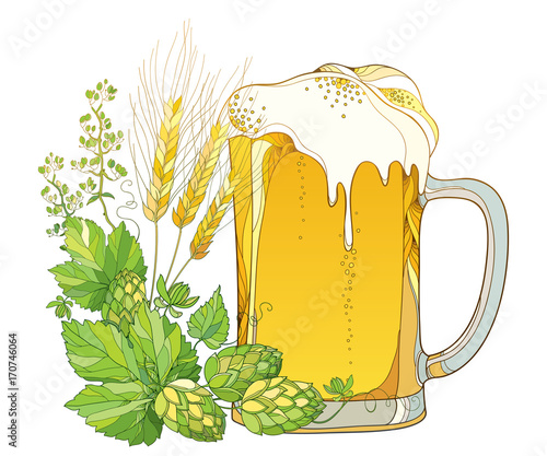Vector beer mug with outline Hops or Humulus and ornate wheat ears isolated on white background. Glass in contour style with lager foam beer for Oktoberfest, brewery or pub design.