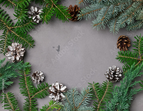 Fir branches and pine cones on the grey background.
