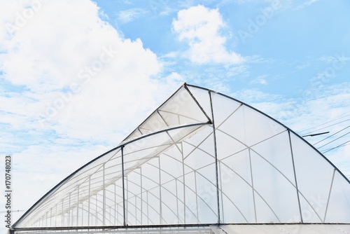 Modern Greenhouse Under Blue Skies