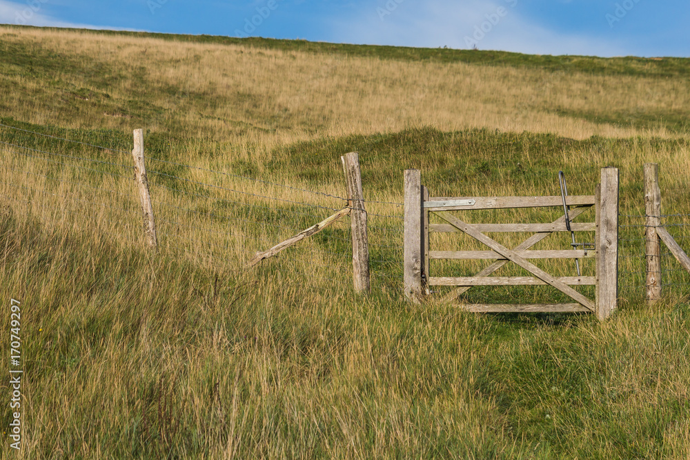 Fototapeta premium Rustic, country wooden gate in an English Field near the South Downs, England. No people
