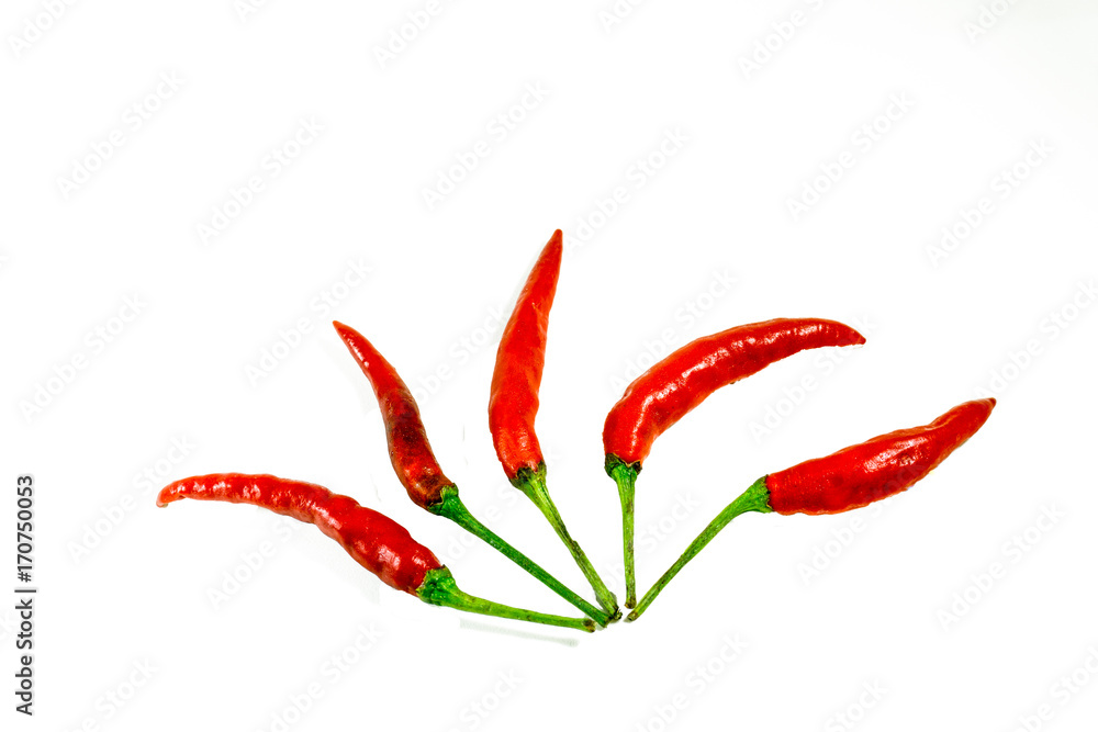 Fresh chilli Fresh chilli