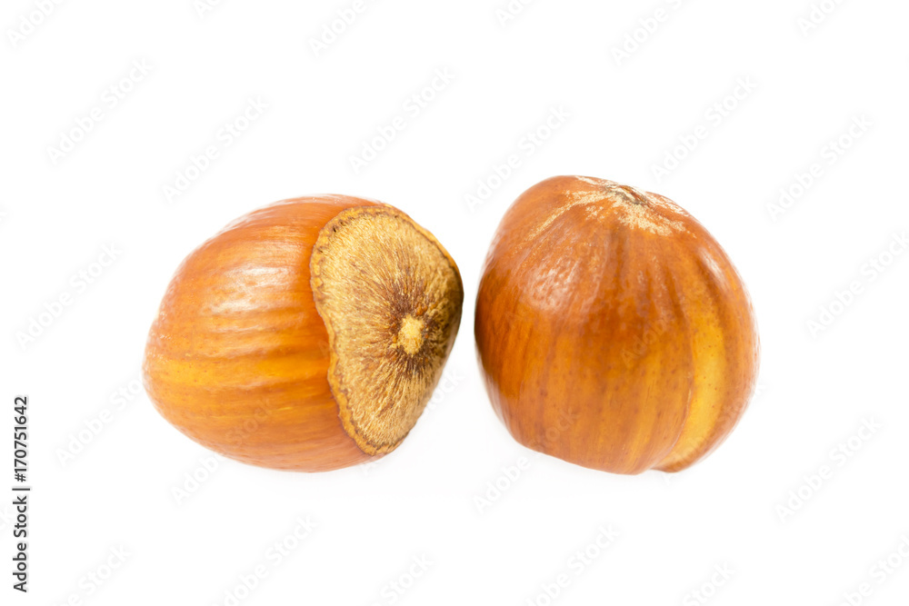 Group fresh hazelnuts isolated on white background Group fresh hazelnuts isolated on white background
