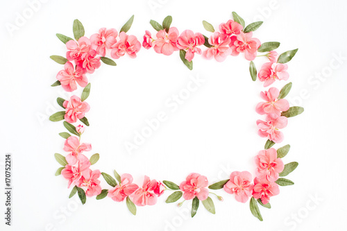 Floral frame with space for text made of pink hydrangea flowers  green leaves  branches on white background. Flat lay  top view. Floral background. Frame of flowers.