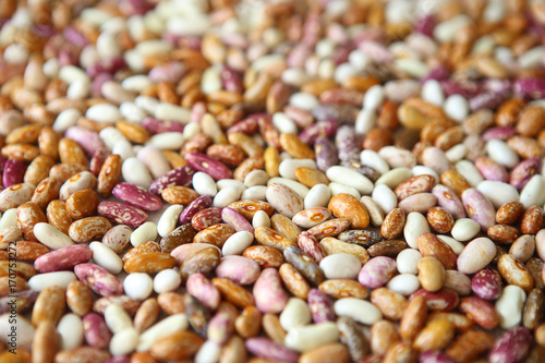 Pinto beans background. Different colors of dried pinto beans.