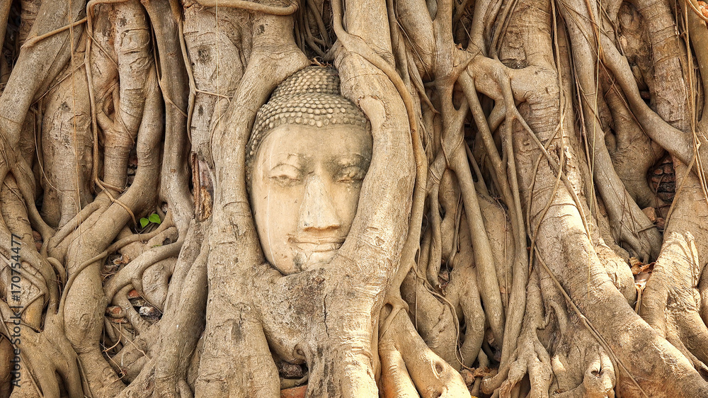 Head of Buddha in Tree Roots at Wat Mahathat, Ayutthaya, Thailand Head of Buddha in Tree Roots at Wat Mahathat, Ayutthaya, Thailand