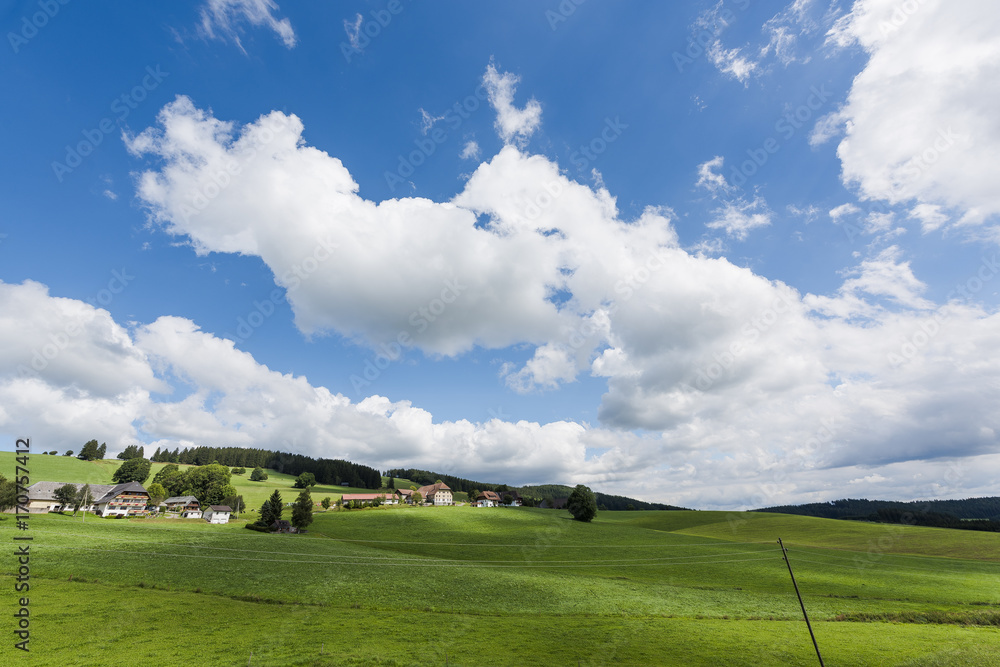 Green meadows in the Black Forest of Germany