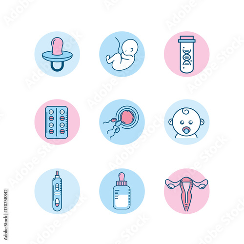 set pregnancy fertilization process to biology reproduction vector illustration