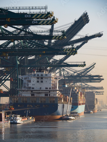 Harbor cranes unloading containers from ships on a sunny morning in the port of Antwerp.