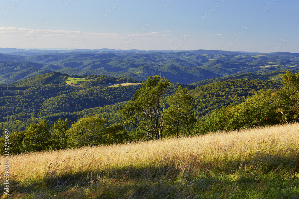 Naklejka premium View of the Allegheny Plateau near Thomas, West Virginia