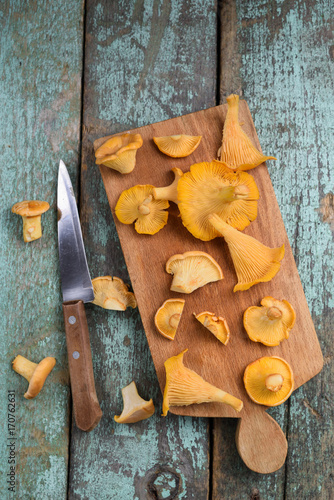 Raw wild mushrooms chanterelle on wooden board with wooden handle knife on vintage turquoise background
