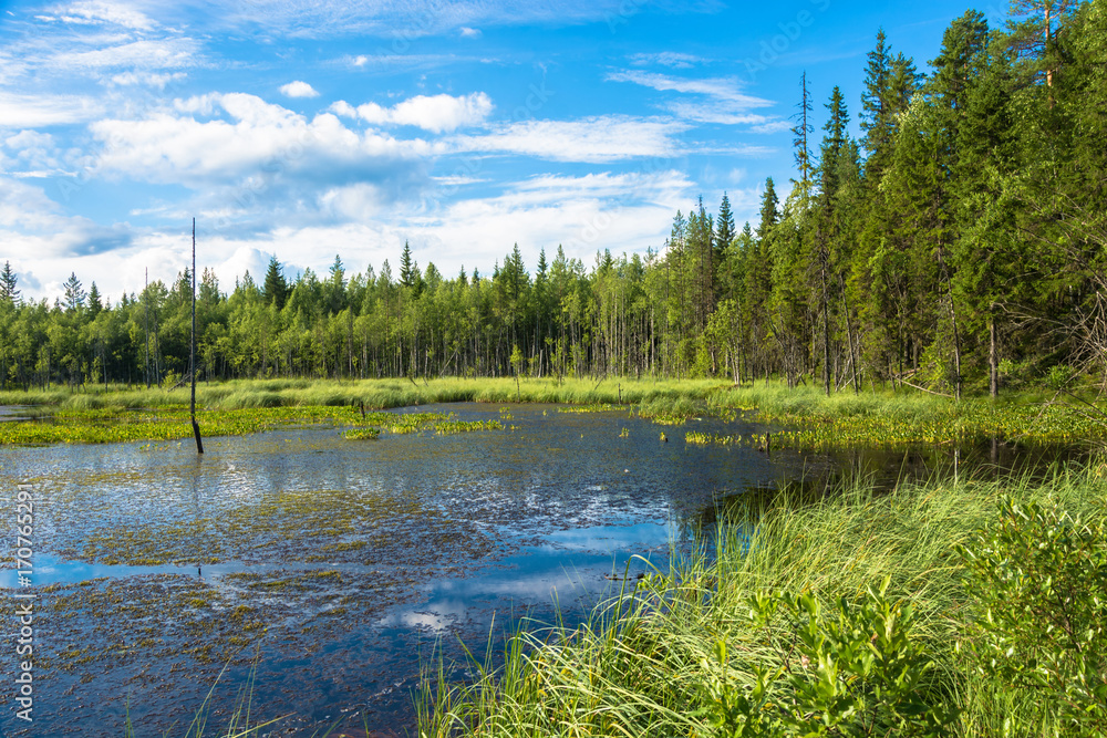A small wetland lake in Karelia.
