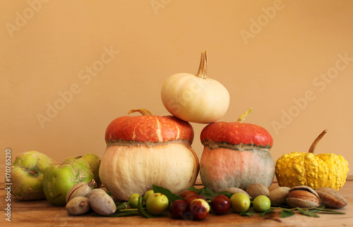 Mele cotogne,giuggiole e zucche ornamentali