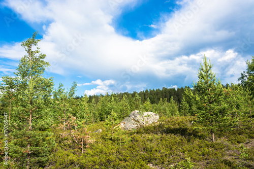 Large rocks boulders in the nature reserve of mount Vottovaara  Karelia.