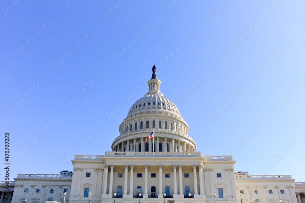 Obraz premium US Capital Building, Washington, DC. 