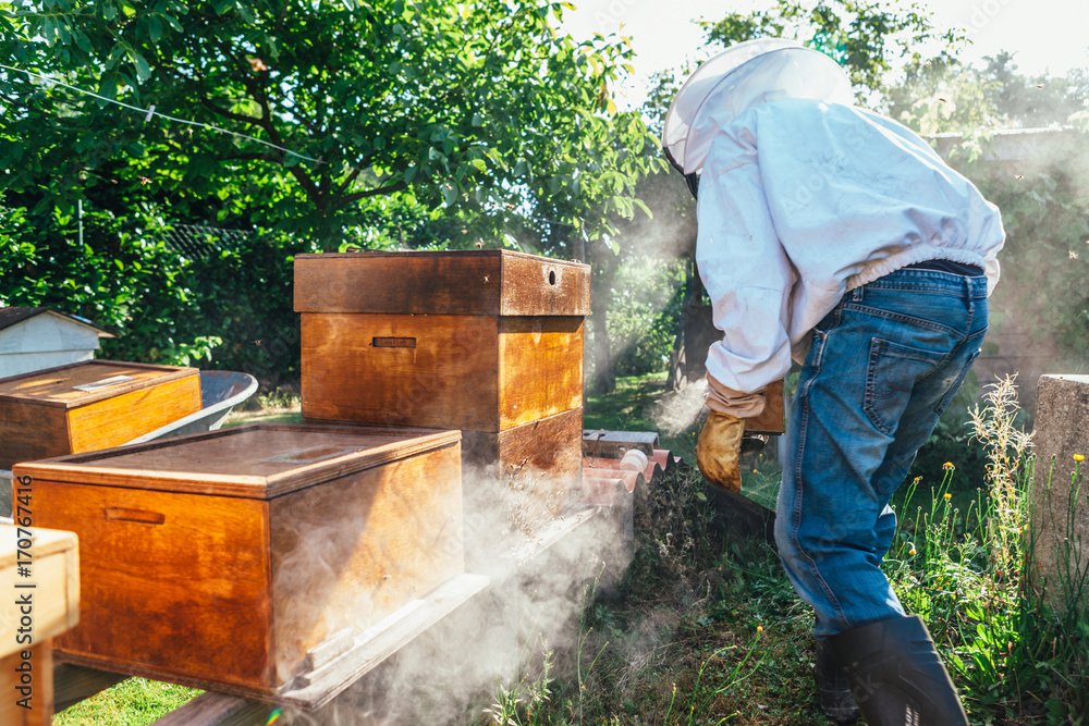 honey production and bees keeping honey production and bees keeping