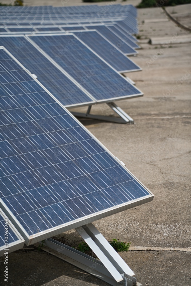 Obraz premium Solar panels lined up