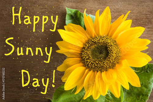 Greeting card with big beautiful yellow sunflower and with text happy sunny day on the brown wooden background. Positive emotions.