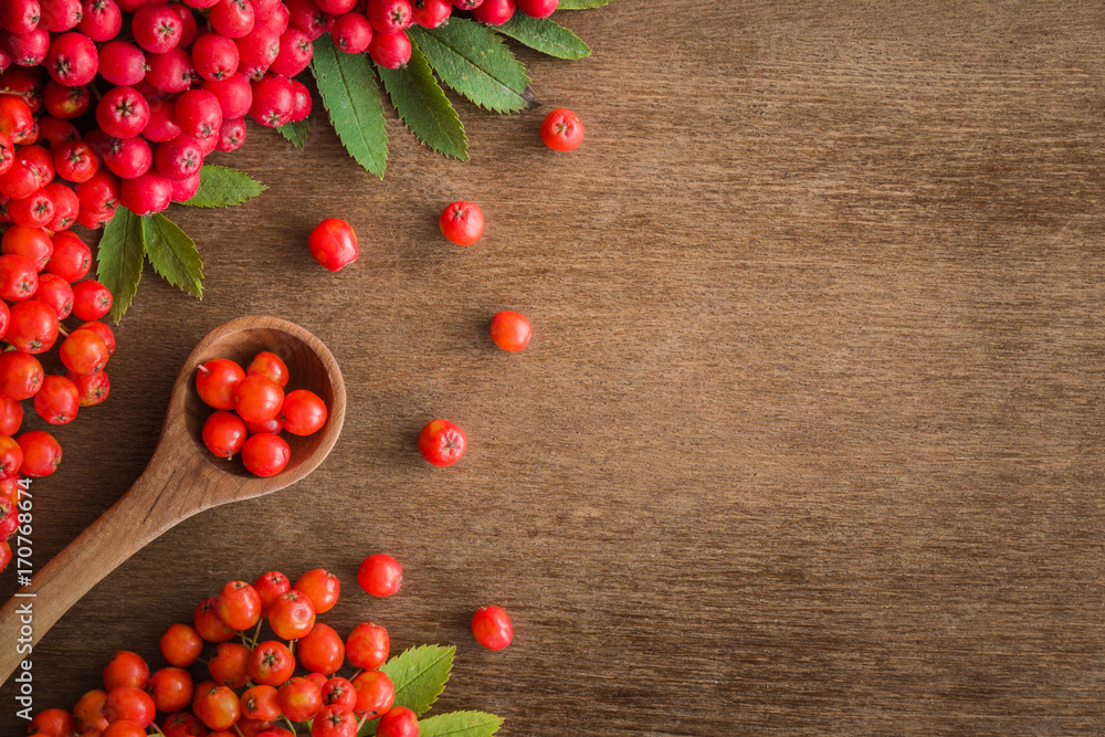 Rowan berries on the brown wooden table. Recipe background. Autumn concept. Empty place for a text or object. Top view. Rowan berries on the brown wooden table. Recipe background. Autumn concept. Empty place for a text or object. Top view.