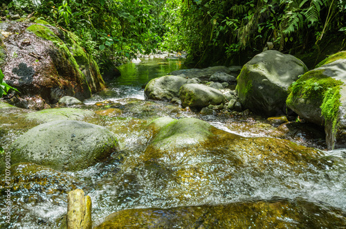 Beautiful creek flowing inside of a green forest with stones in river at Mindo photo