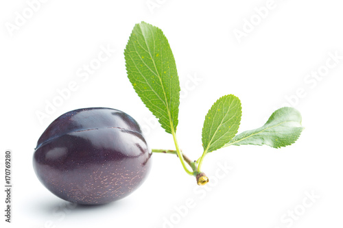 Fresh plum with branch with leaf.
