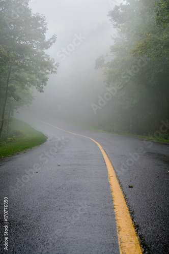 Wet Foggy Road in the Woods