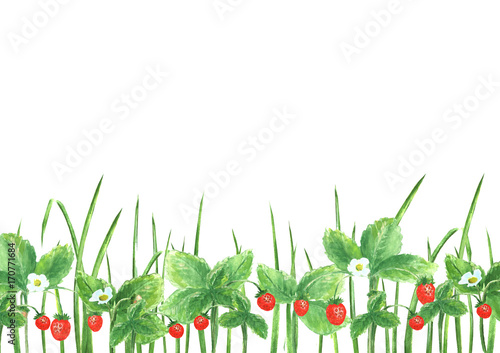 Summer green background