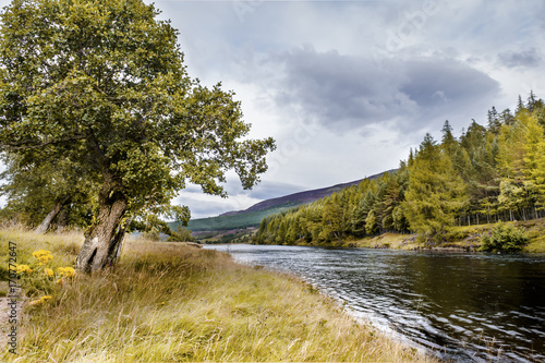 Photo River Dee with Tree at Bank Side in Cloudy Day