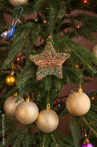 Golden bulbs and star on christmas tree close up