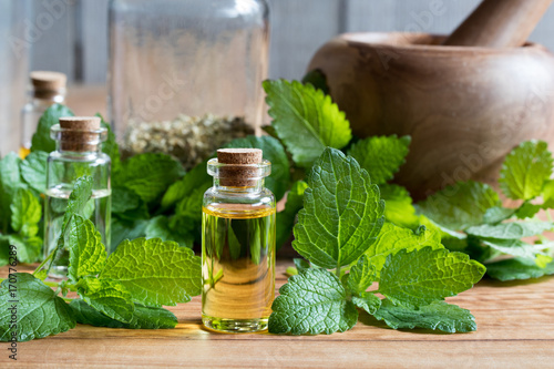 A bottle of melissa essential oil with fresh melissa leaves photo