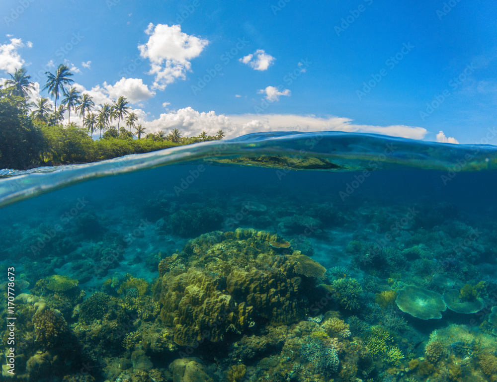 Seascape split photo. Double seaview. Underwater coral reef.