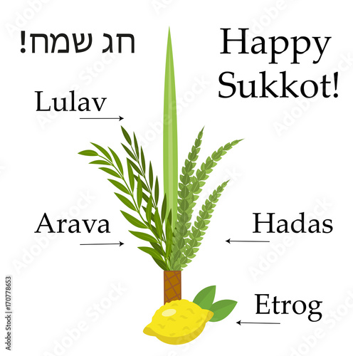 Happy sukkot set  educational icons, with inscription. Collection  objects, elements for Jewish Feast of Tabernacles with etrog, lulav, Arava, Hadas. Isolated on white background. Vector illustration