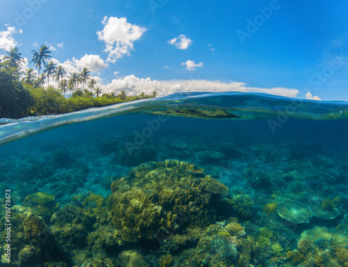 Seascape split photo. Double seaview. Underwater coral reef.