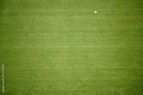 
Fußballrasen mit Slalom Kegel 
 / Die grüne Rasenfläche eines Fußballfeldes mit einem Slalom Kegel zum Training.