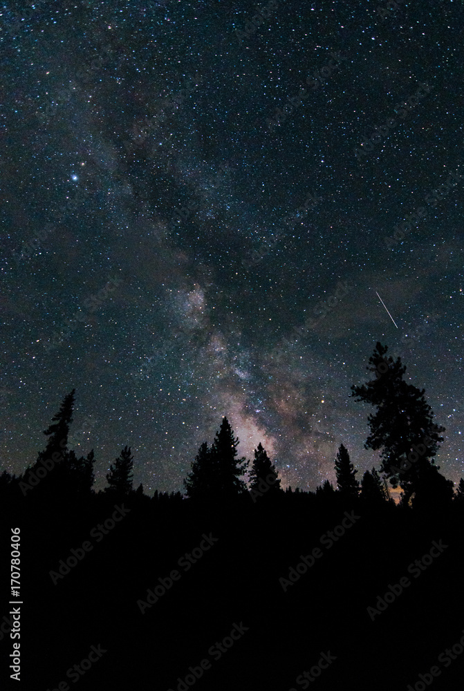 sequoia national park